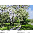 Количество цветов и сложность Березы у дороги Раскраска картина по номерам акриловыми красками на холсте Menglei Z-EX5352