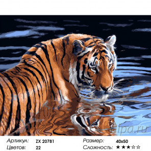 Количество цветов и сложность Отражение Раскраска картина по номерам на холсте ZX 20781