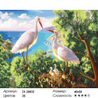 Количество цветов и сложность Аисты в гнезде Раскраска картина по номерам на холсте ZX 20835