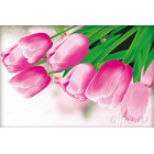  H-4103 "Розовые тюльпаны" мозаика H-4103