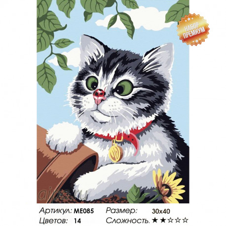 Количество цветов и сложность Любопытный котенок Раскраска картина по номерам на холсте ME085
