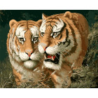  Любовь тигра Раскраска картина по номерам на холсте MG6047