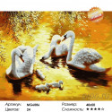 Лебеди в золоте заката Раскраска картина по номерам на холсте