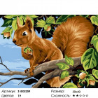 Количество цветов и сложность Белочка с орешками Раскраска картина по номерам на холсте Z-EX5259