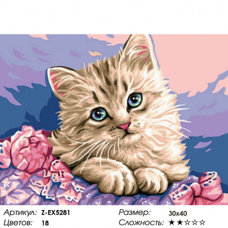 Купить Котенка В Магазине Спб Купить Котенка В Магазине Спб