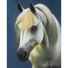  Белая лошадь Алмазная мозаика на подрамнике LG065