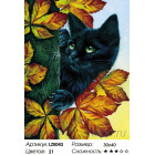 Количество цветов и сложность Черный кот Алмазная вышивка мозаика LZE043