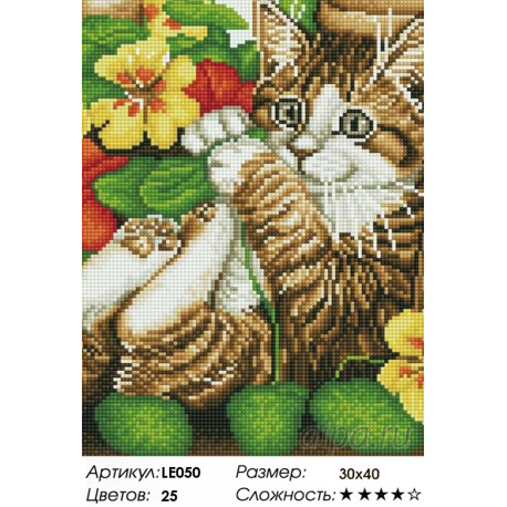 Количество цветов и сложность Игривый котенок Алмазная мозаика на подрамнике LE050