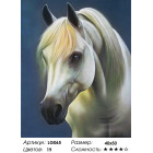 Количество цветов и сложность Белая лошадь Алмазная мозаика на подрамнике