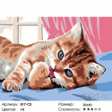 Кот чистюля Раскраска картина по номерам на холсте Белоснежка