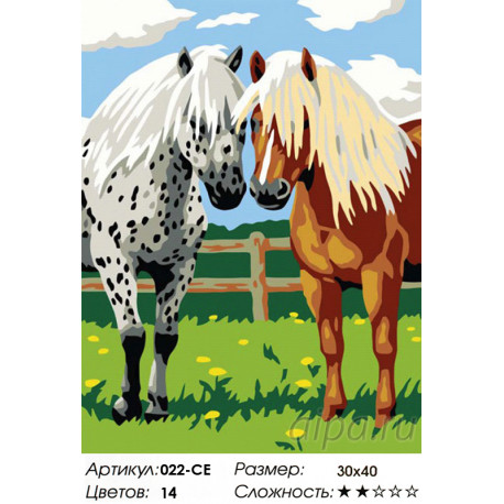 Количество цветов и сложность Лошадки Раскраска картина по номерам на холсте Белоснежка 022-CE