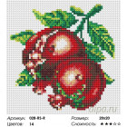 Количество цветов и сложность Спелый гранат Алмазная вышивка мозаика на подрамнике Белоснежка 028-RS-R