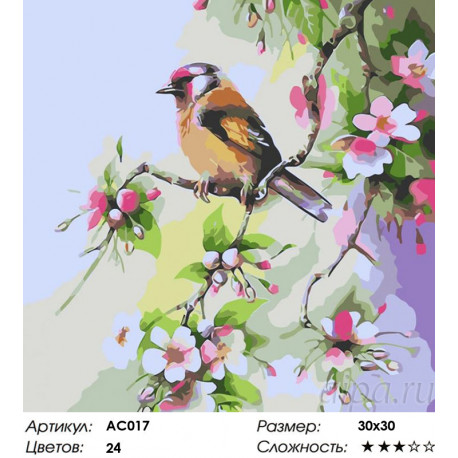 Сложность и количество цветов Весне навстречу Раскраска - открытка по номерам с декором Color Kit AC017