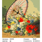 Сложность и количество цветов ПарасольРаскраска - открытка по номерам с декором Color Kit AC018