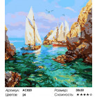 Сложность и количество цветов Солнечный берег Раскраска - открытка по номерам с декором Color Kit AC020