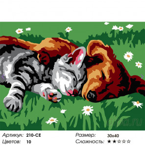  Котенок и щенок Раскраска картина по номерам на холсте Белоснежка 210-CE