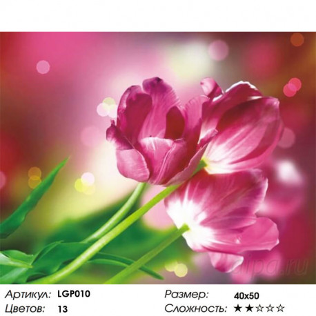 Количество цветов и сложнсоть Тюльпаны Каравелла Алмазная мозаика на подрамнике LGP010