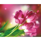  Тюльпаны Каравелла Алмазная мозаика на подрамнике LGP010