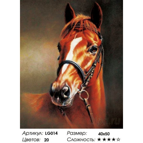 Количество цветов и сложнсоть Каштановая лошадь Алмазная мозаика на подрамнике LG014