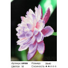 Количество цветов и сложнсоть Цветок лотоса Алмазная мозаика на подрамнике LEP005