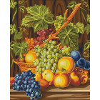  Виноградная лоза Раскраска картина по номерам на холсте CG913