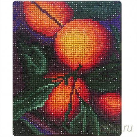  Апельсиновый аромат Алмазная вышивка мозаика Color Kit MP004