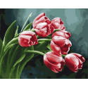 Букет тюльпанов Раскраска по номерам на холсте