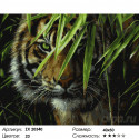 Количество цветов и сложность Тигр в засаде Раскраска картина по номерам на холсте ZX 20340