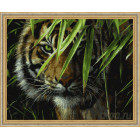N118 Тигр в засаде Раскраска картина по номерам на холсте