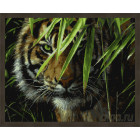 N181 Тигр в засаде Раскраска картина по номерам на холсте
