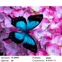 Синяя бабочка Раскраска картина по номерам на холсте