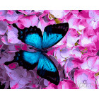  Синяя бабочка Раскраска картина по номерам на холсте ZX 20593
