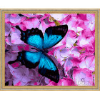 N118 Синяя бабочка Раскраска картина по номерам на холсте