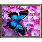 N143 Синяя бабочка Раскраска картина по номерам на холсте