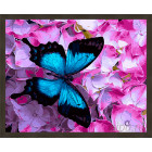 N181 Синяя бабочка Раскраска картина по номерам на холсте