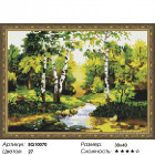 Количество цветов и сложность Лесной ручей Алмазная вышивка мозаика на подрамнике  EQ10070