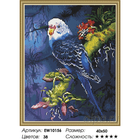 Количесвто цветов и сложность Синий попугай Алмазная вышивка мозаика на подрамнике  EW10156
