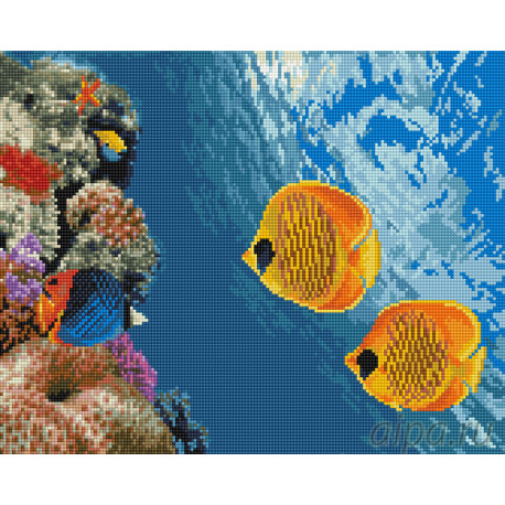  Коралловый риф Алмазная вышивка мозаика на подрамнике  EW10174