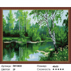 Количество цветов и сложность Лесное озеро Алмазная вышивка мозаика на подрамнике  EW10030