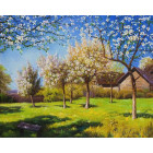  Цветущие яблони Раскраска картина по номерам на холсте KH0163