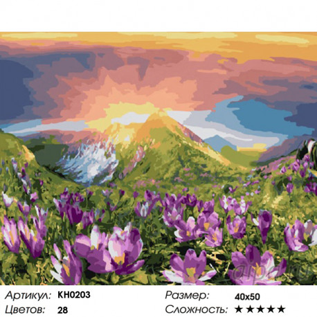 Количество цветов и сложность Восход Раскраска картина по номерам на холсте KH0203