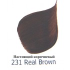 231 Настоящий коричневый Акриловая краска FolkArt Plaid