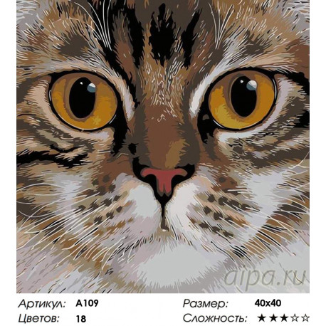 Количество цветов и сложность Медовые глаза Раскраска картина по номерам на холсте A109