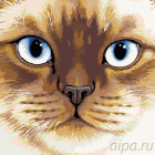 Раскладка Сиамская кошка Раскраска картина по номерам на холсте A110