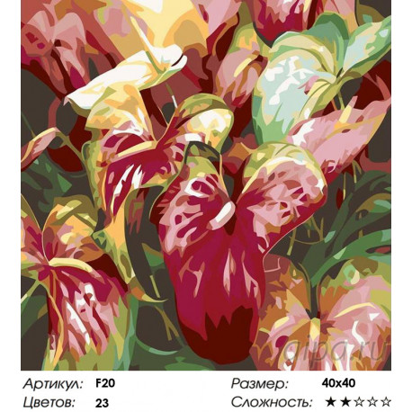 Количество цветов и сложность Каллы Раскраска картина по номерам на холсте F20