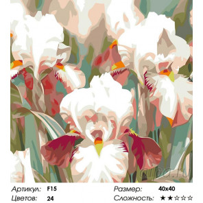 Количество цветов и сложность Ирисы Раскраска картина по номерам на холсте F15
