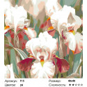Количество цветов и сложность Ирисы Раскраска картина по номерам на холсте F15