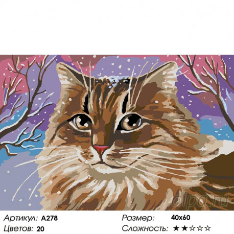 Количество цветов и сложность Кошачий портрет Раскраска картина по номерам на холсте A278