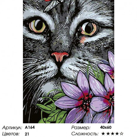 Количество цветов и сложность Котик Раскраска картина по номерам на холсте A164