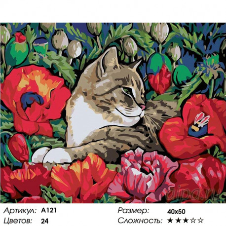 Количество цветов и сложность Отдых в маках Раскраска картина по номерам на холсте A121